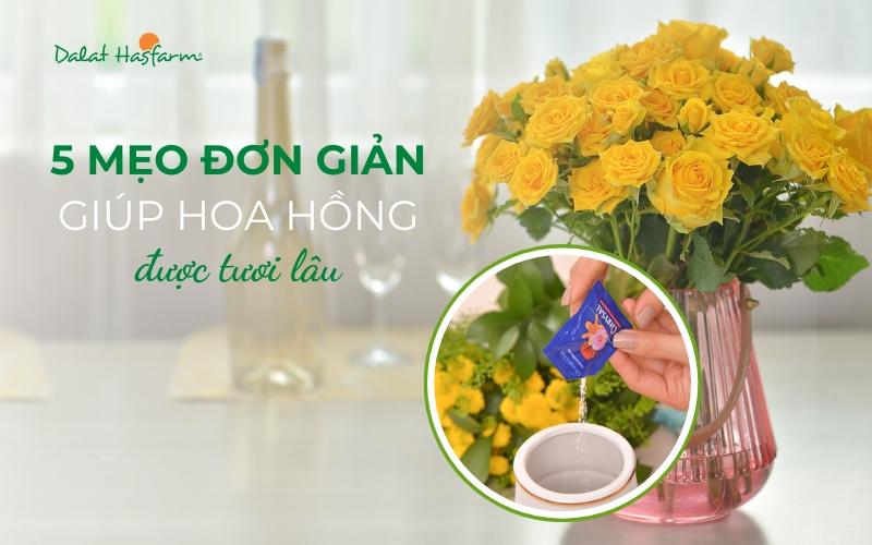 Hướng dẫn thay nước và cắt gốc lại cho hoa hồng để giữ tươi lâu
